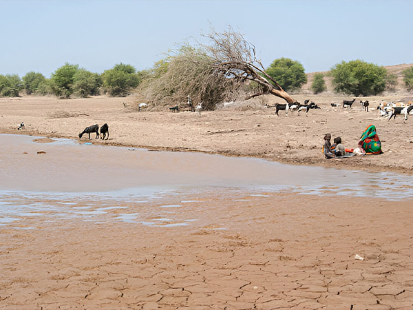 Les solutions locales à la crise climatique : Quand la communauté prend l’initiative